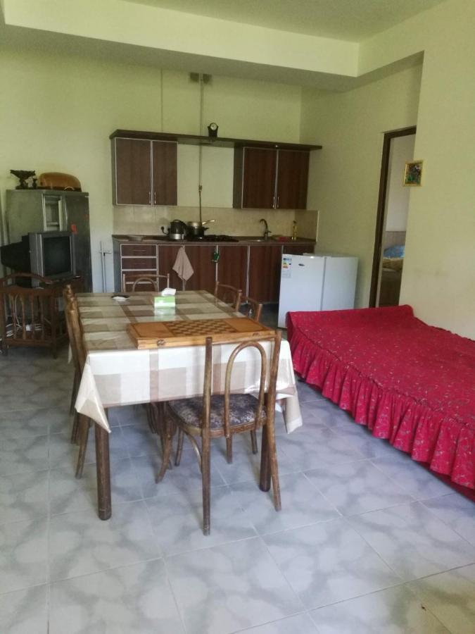 Artyomi Toon Apartment Дилиян Екстериор снимка